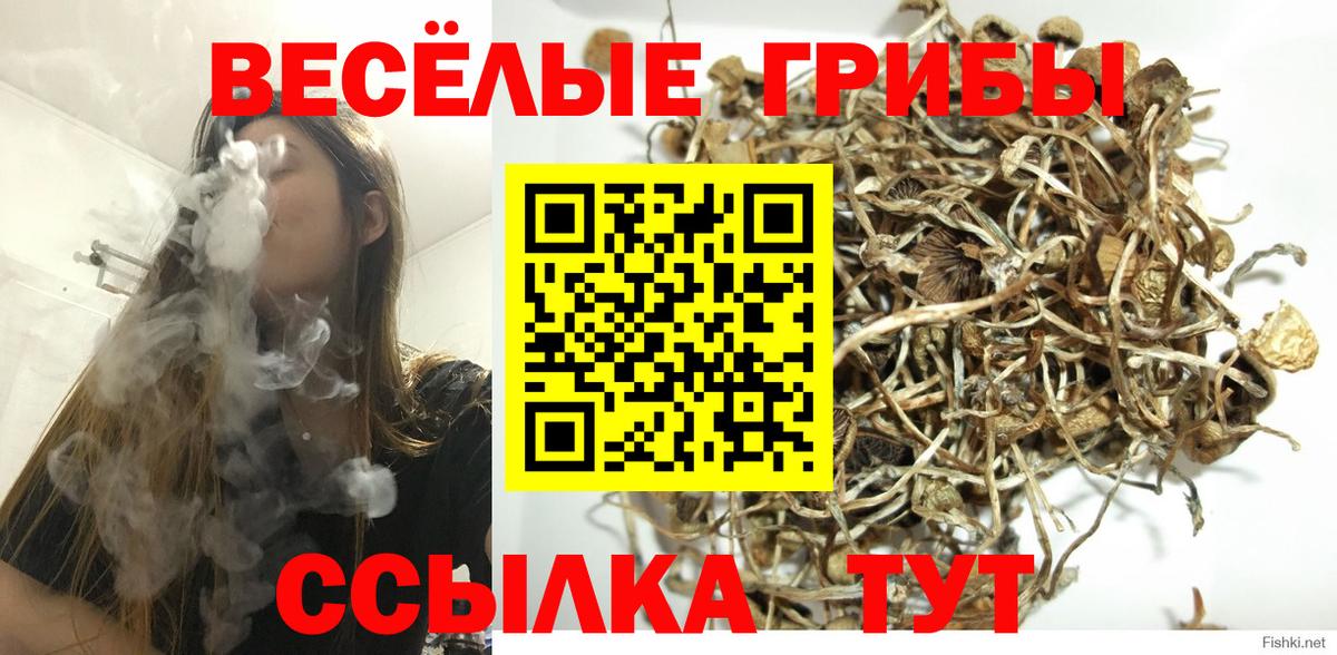 Псилоцибиновые грибы MAGIC MUSHROOMS  Галлюциногенные грибы MAGIC MUSHROOMS  Вход с VPN  Саратов 